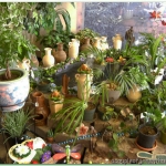 indoor plants carefree