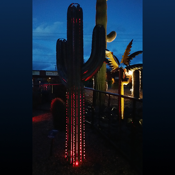 metal saguaro with lighting